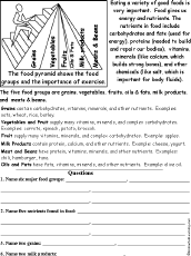 Food Groups For Kids Worksheets