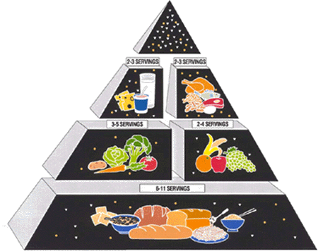 Food Groups Pyramid