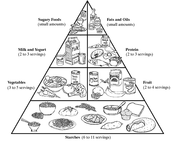 Food Groups Pyramid