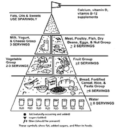 Food Groups Worksheet