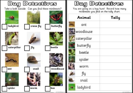 Food Groups Worksheet Ks1