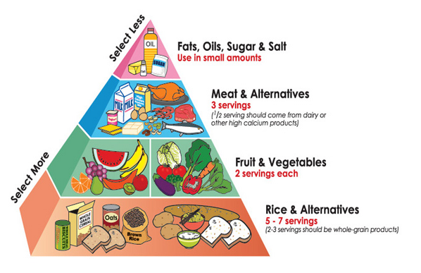 Food Pyramid 2013