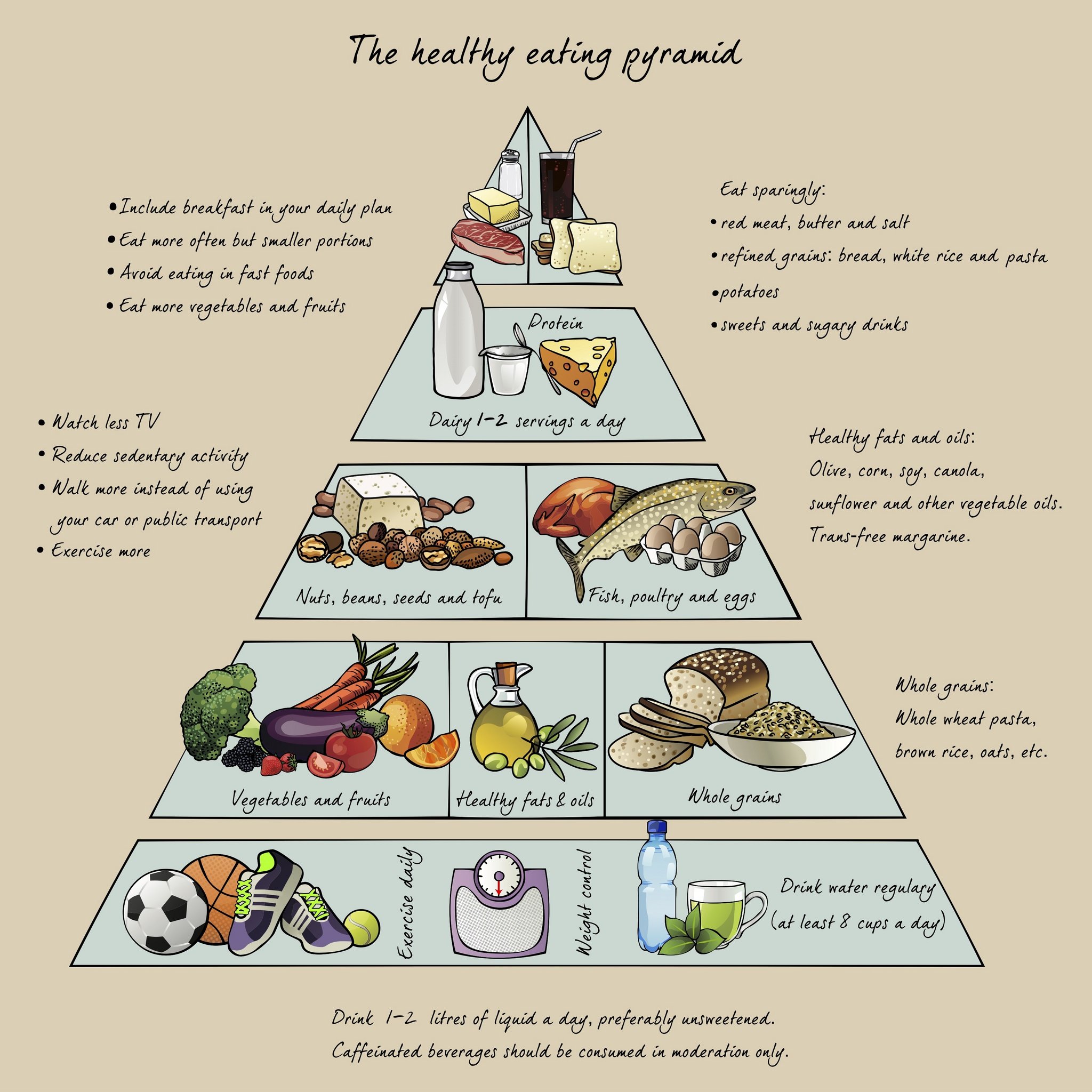 Food Pyramid 2013 For Kids