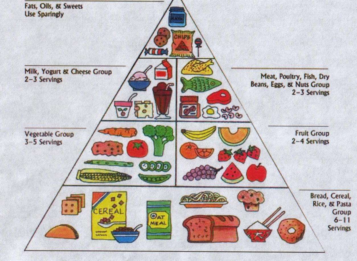 Food Pyramid For Kids 2013