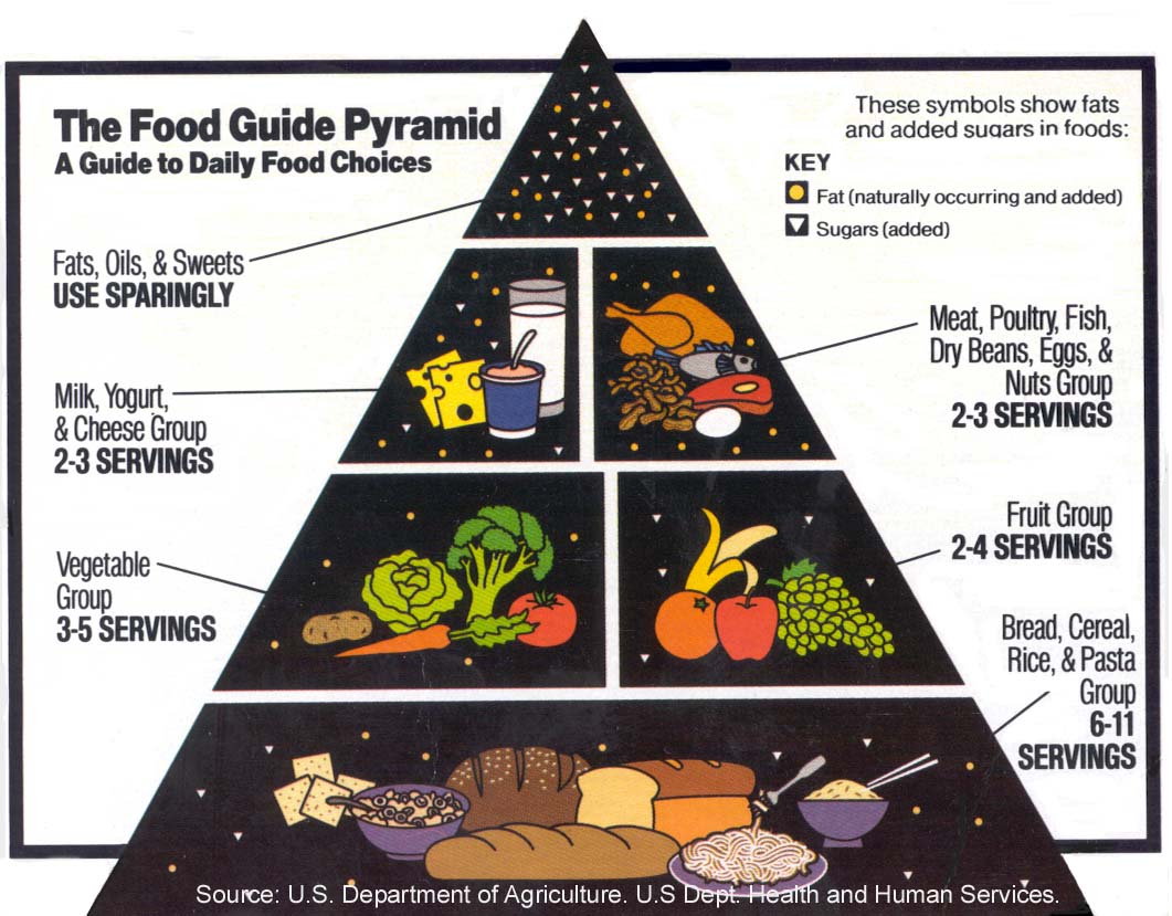 Food Pyramid For Kids