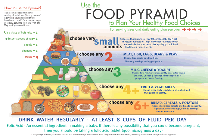 Food Pyramid For Kids