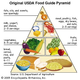 Food Pyramid Guidelines