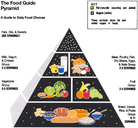 Food Pyramid Guidelines