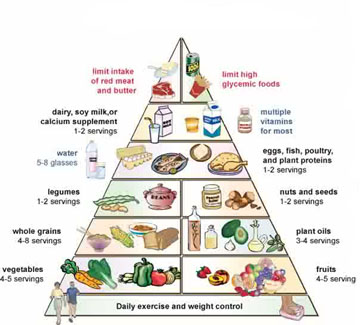 Food Pyramid Guidelines