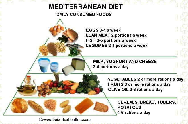 Food Pyramid Servings 2013