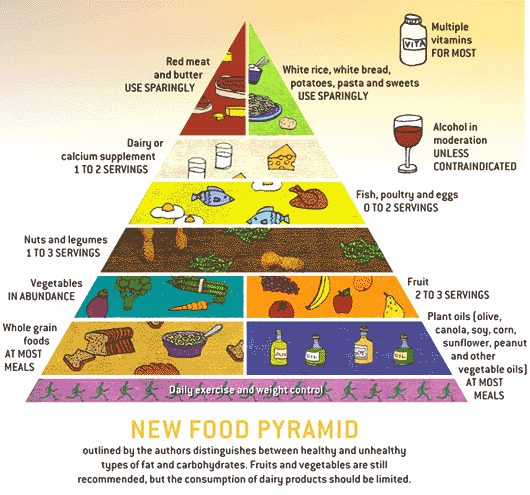 Food Pyramid Servings