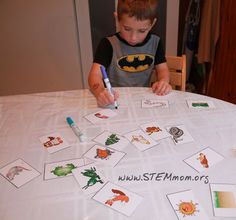 Food Web Activity Cards