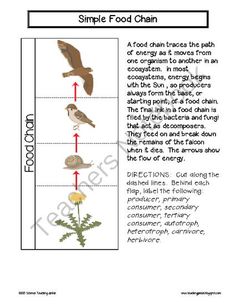 Food Web Activity Cards