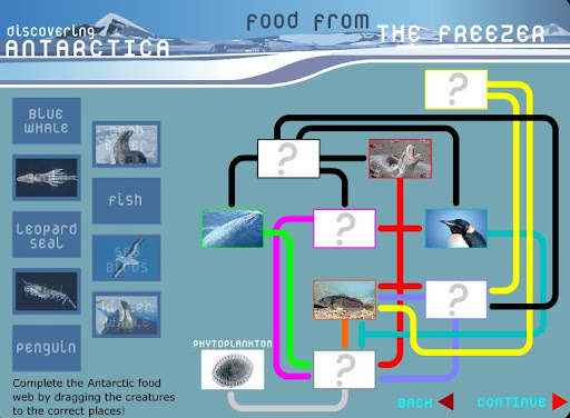 Food Web Activity String