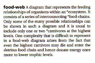 Food Web Definition