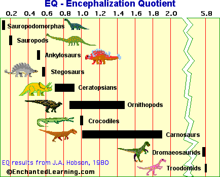 Food Web Diagram Labeled