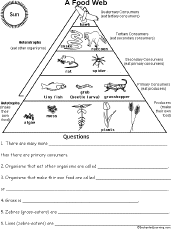 Food Web Examples With Labels