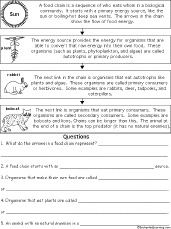 Food Web Worksheet