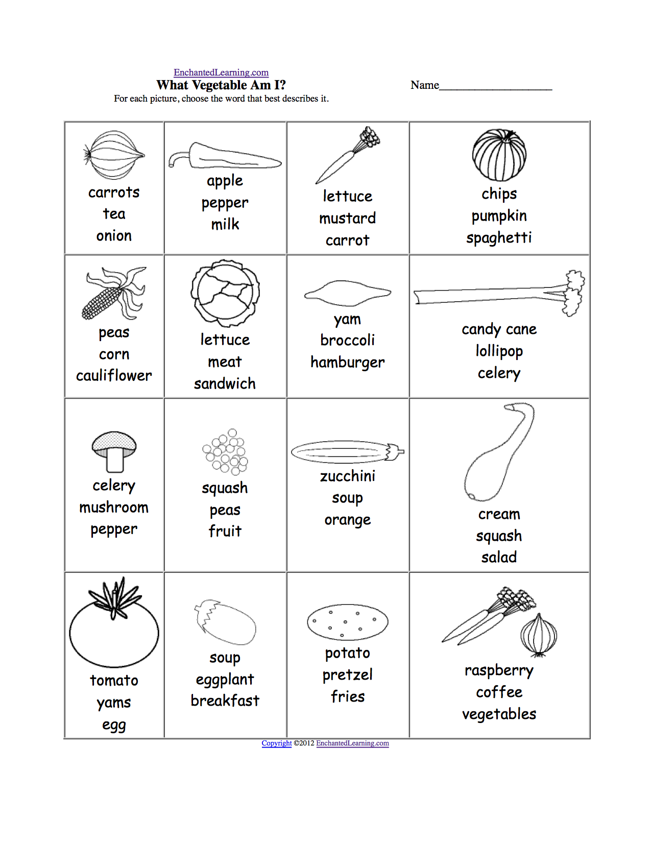 Food Web Worksheet Answers