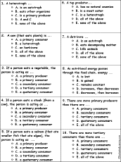 Food Web Worksheet Answers