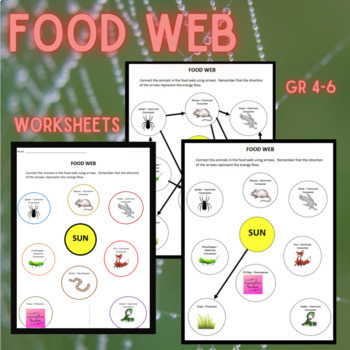 Food Web Worksheet Answers