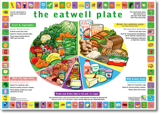 Four Food Groups Plate