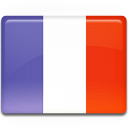 France Flag Cartoon