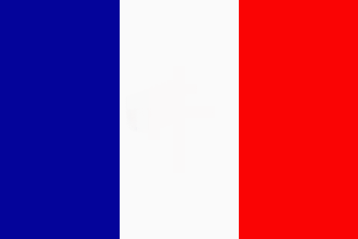 France Flag Gif