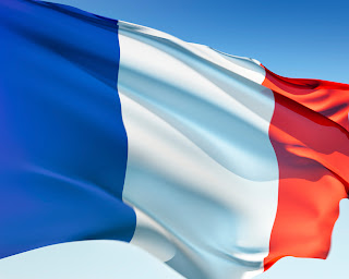 France Flag Picture