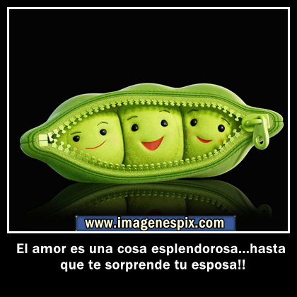 Frases Con Imagenes Chistosas Para Facebook