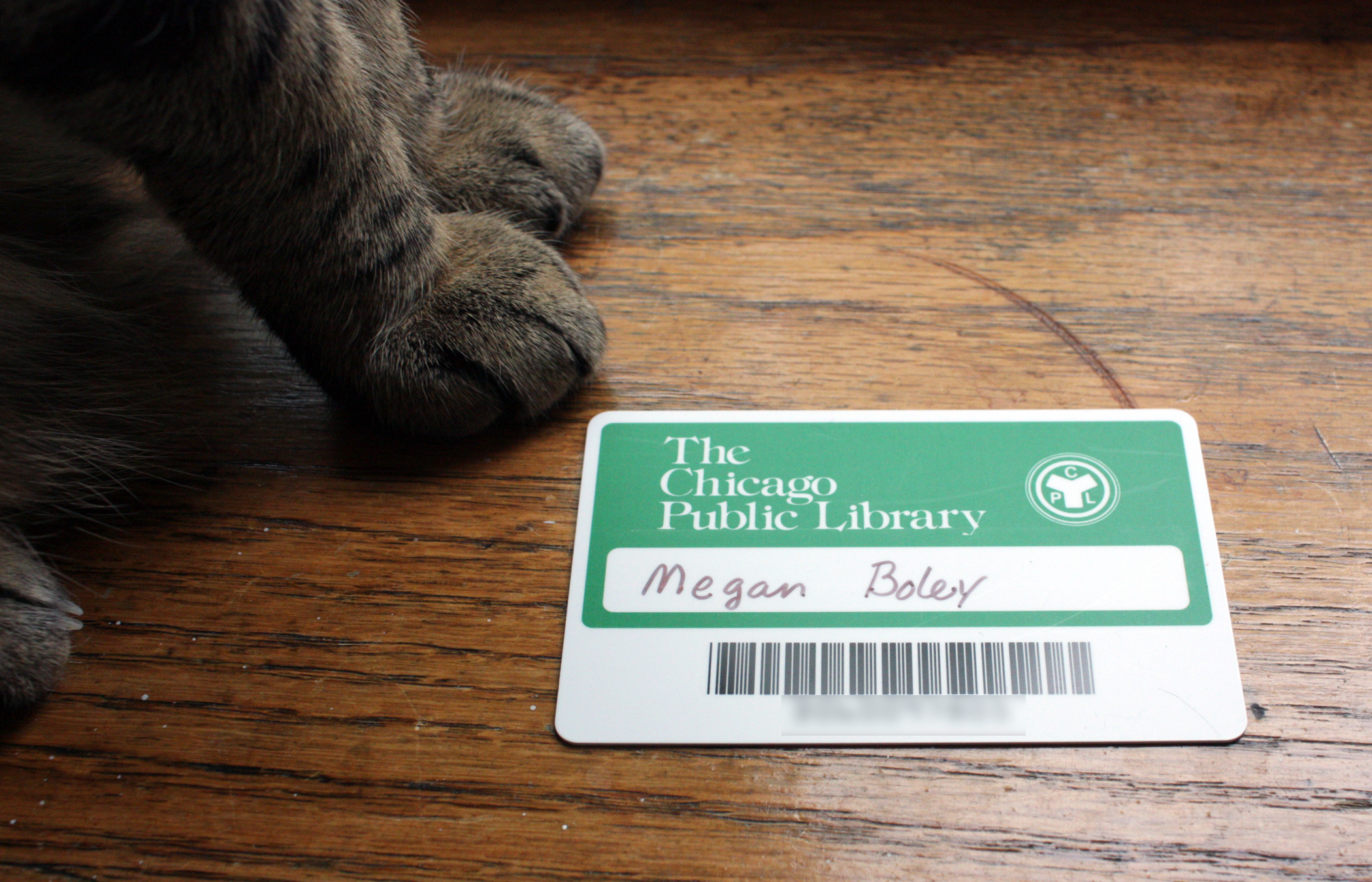 Free Library Card Numbers