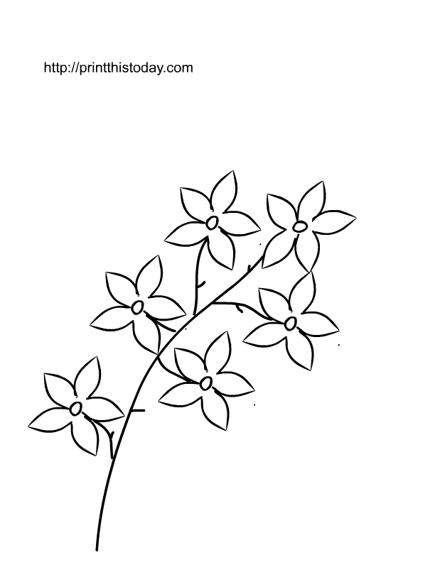 Free Pictures Of Flowers To Color