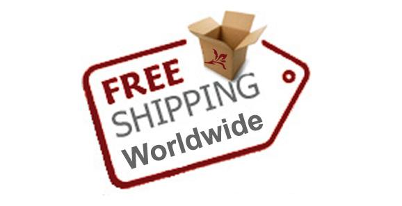 Free Worldwide Shipping