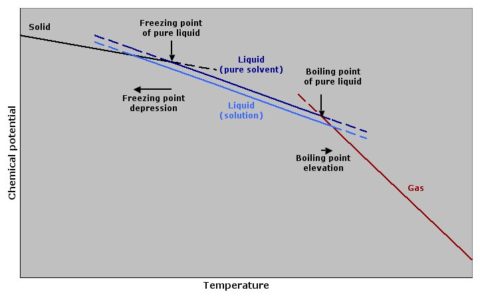 Freezing Point