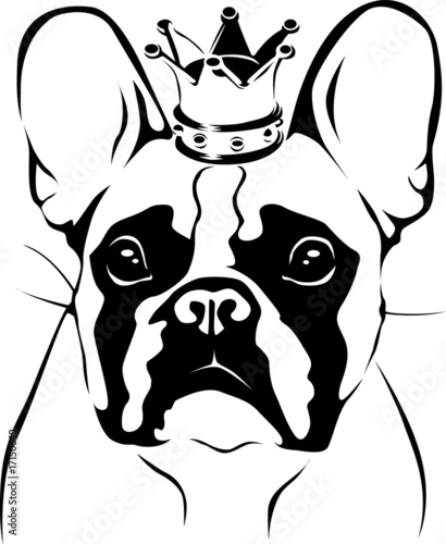 French Bulldog Images Free