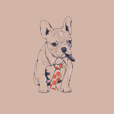 French Bulldog Images Free