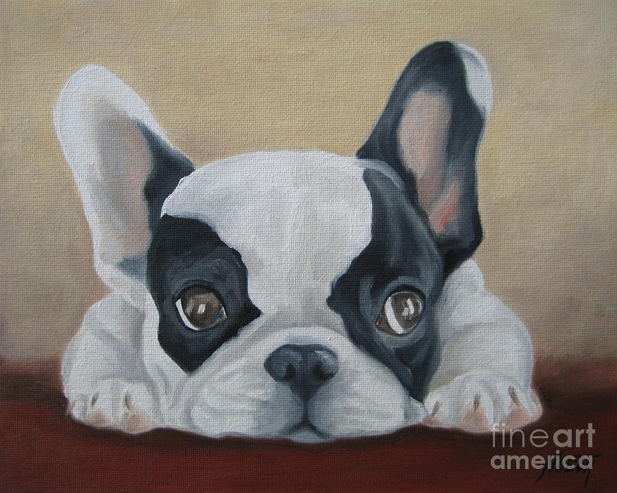 French Bulldog Pictures