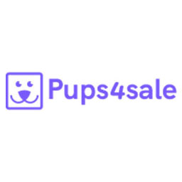 French Bulldogs For Sale Australia