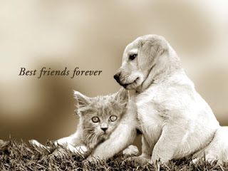 Friends Forever Images