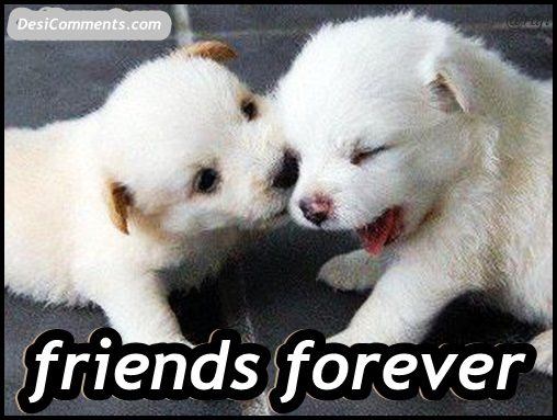 Friends Forever Poems Hindi