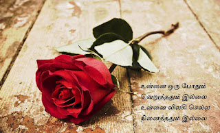 Friendship Poems In Tamil