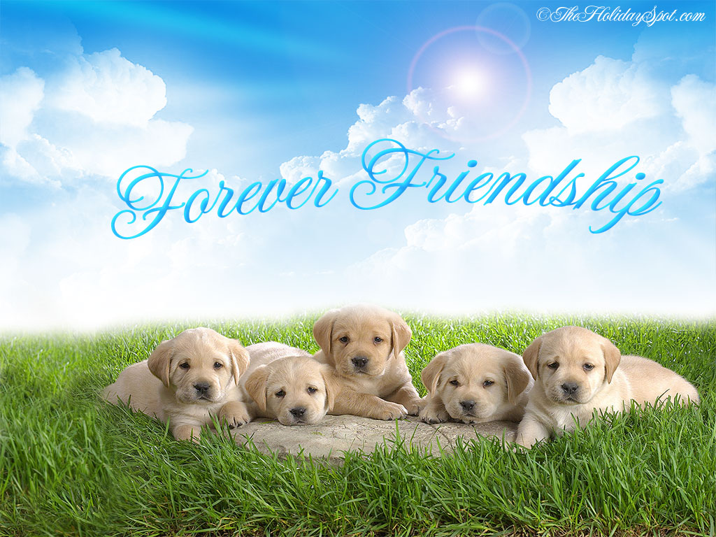 Friendship Wallpapers Hd For Facebook