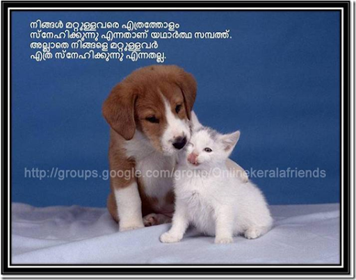 Friendship Wallpapers With Malayalam Wordings