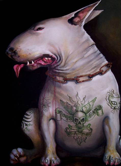 Funny English Bull Terrier Pictures