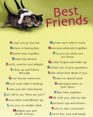 Funny Friendship Poems And Quotes