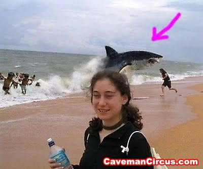 Funny Photobombing Animals