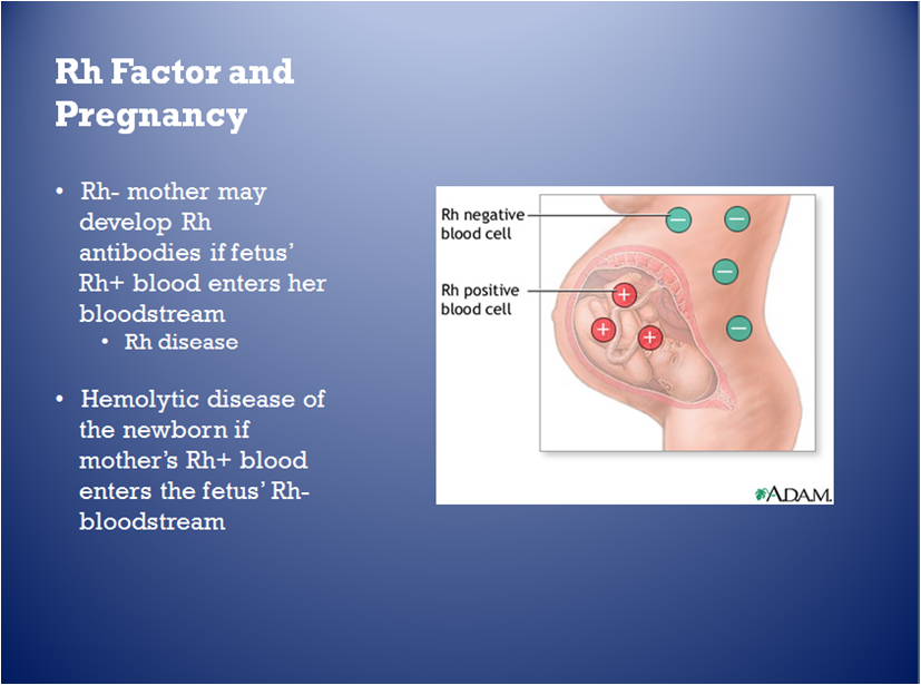 Genomic Imprinting Dna Methylation And Histone Acetylation Are All Examples Of