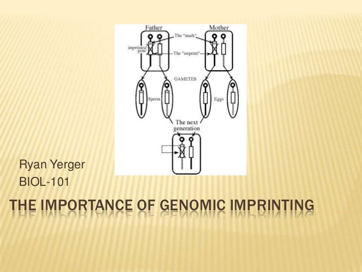 Genomic Imprinting Is Generally Due To The Addition Of Methyl