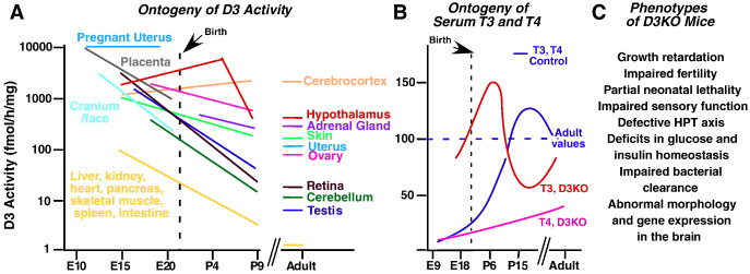 Genomic Imprinting Is Generally Due To The Addition Of Methyl