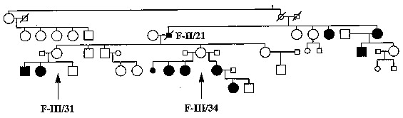 Genomic Imprinting Pedigree